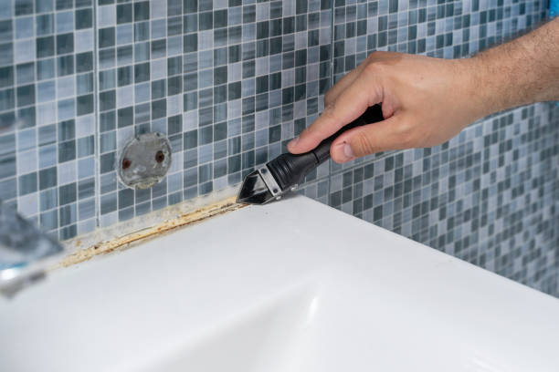 Best Bathroom Mold Remediation in Vero Lake Estates, FL